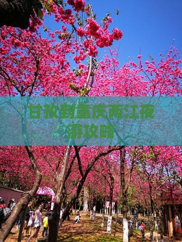 甘孜去重庆两江夜游旅行社