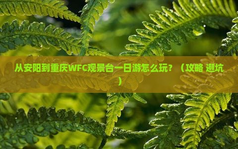 安阳到重庆wfc观景台一日