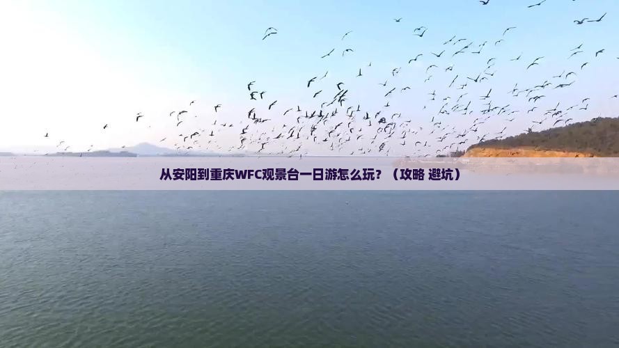 安阳到重庆wfc观景台一日