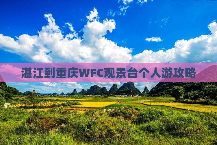 湛江到重庆wfc观景台个人游