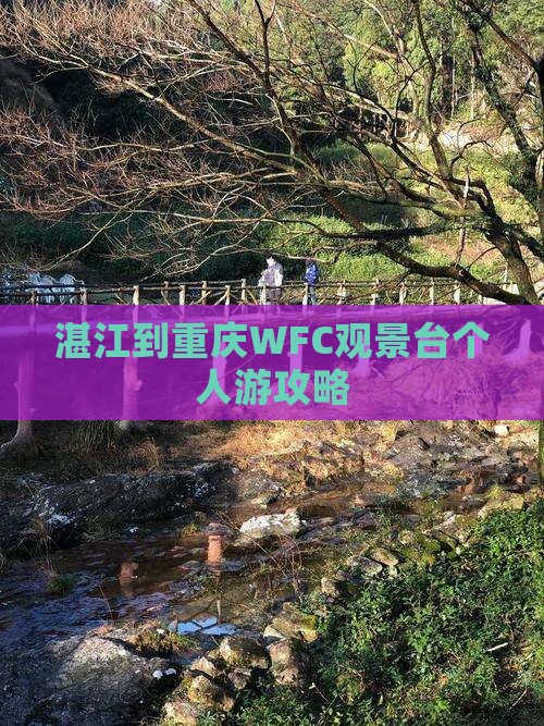 湛江到重庆wfc观景台个人游