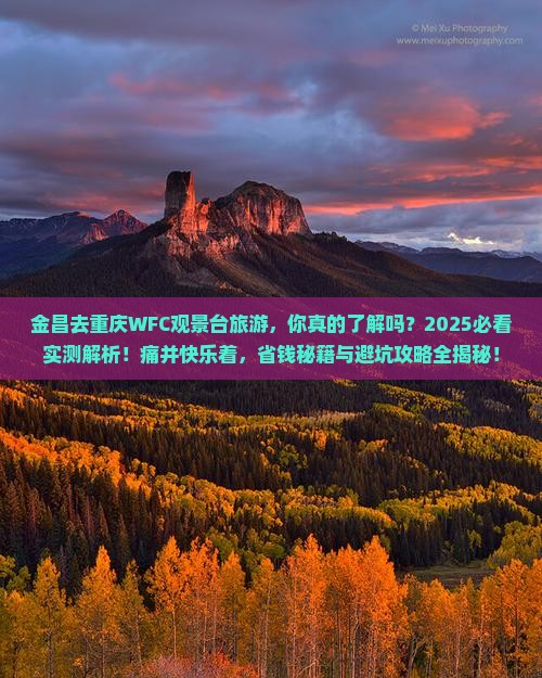 金昌去重庆wfc观景台旅游