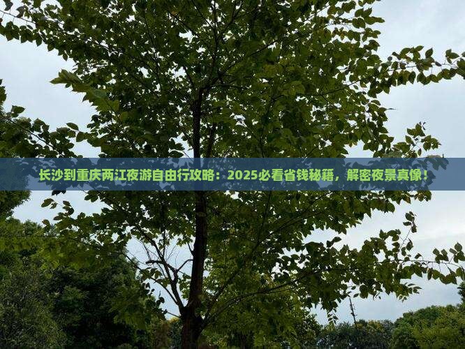 长沙到重庆两江夜游自由行 长沙到重庆两江夜游自由行