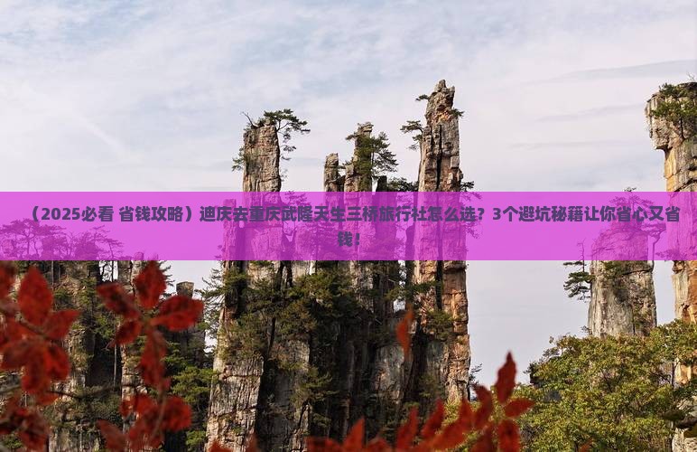 迪庆去重庆武隆天生三桥旅行社