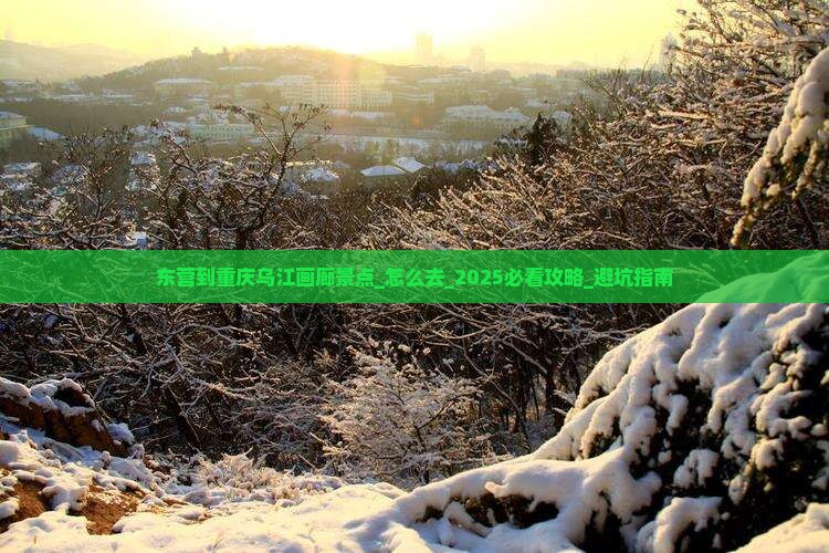 东营到重庆乌江画廊景点