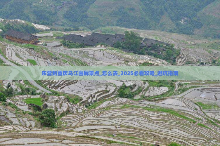 东营到重庆乌江画廊景点