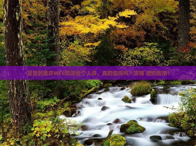 宜昌到重庆wfc观景台个人游