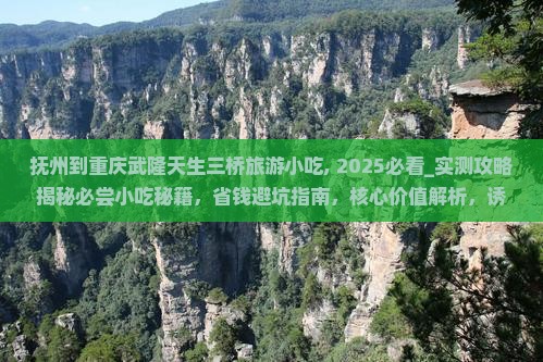 抚州到重庆武隆天生三桥旅游小吃