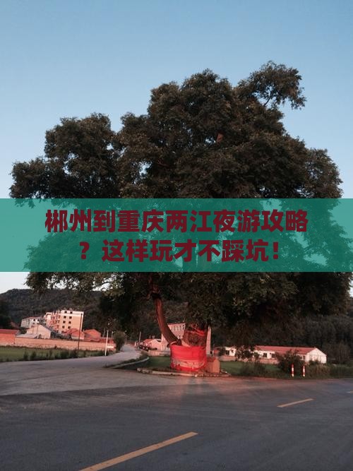 郴州到重庆两江夜游攻略