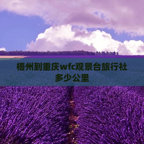 梧州到重庆wfc观景台旅行社