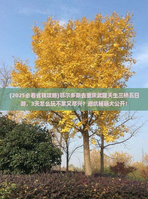 鄂尔多斯去重庆武隆天生三桥五日游