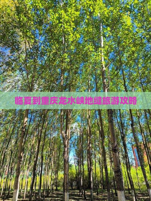 临夏到重庆龙水峡地缝个人游