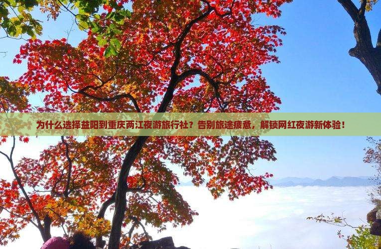 益阳到重庆两江夜游旅行社