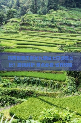 鸡西到重庆蚩尤九黎城七日游