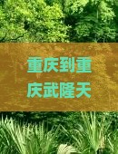 重庆到重庆武隆天生三桥五日游