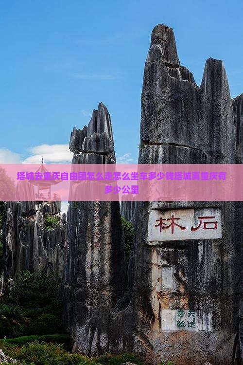塔城去重庆自由团