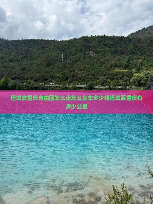 塔城去重庆自由团