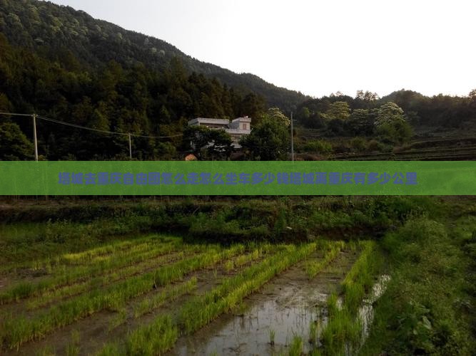 塔城去重庆自由团