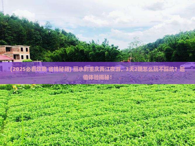 丽水到重庆两江夜游旅行社