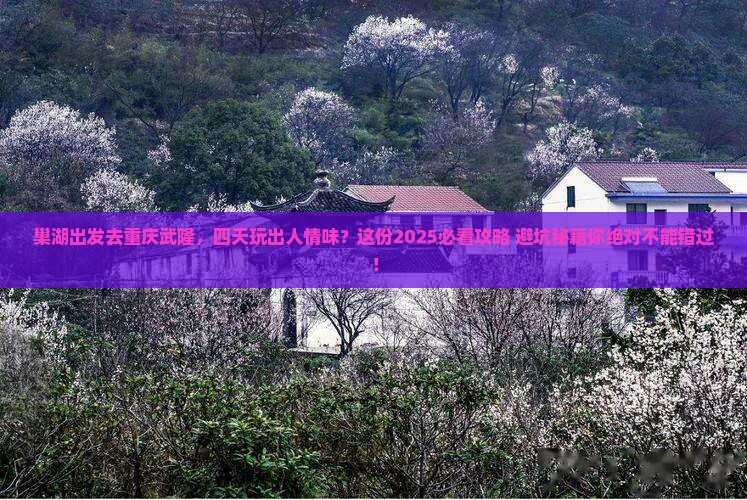 巢湖去重庆武隆四日游