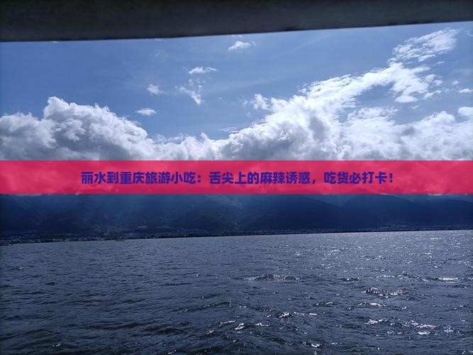 丽水到重庆旅游小吃