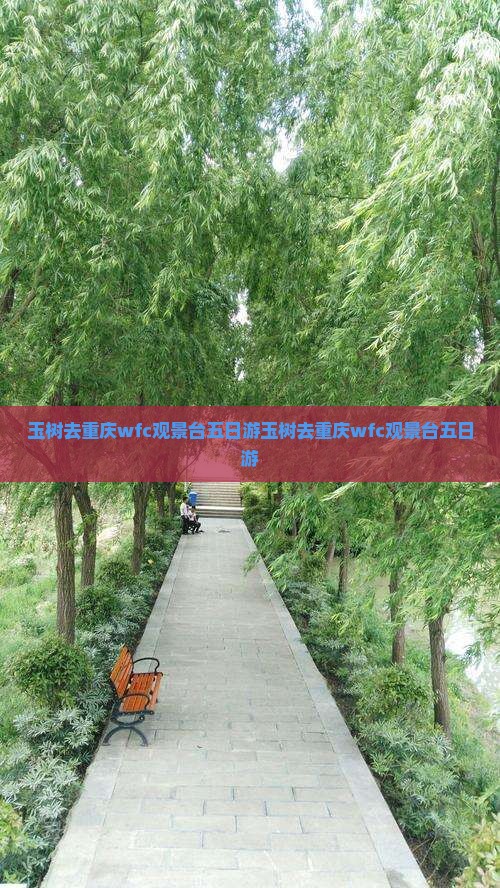 玉树去重庆wfc观景台五日游