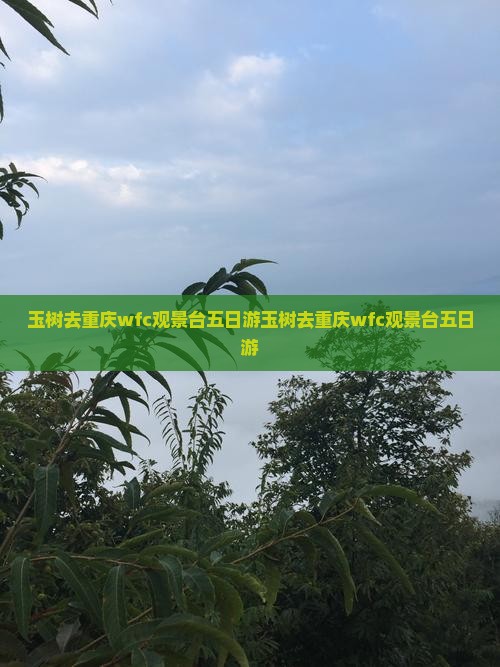 玉树去重庆wfc观景台五日游