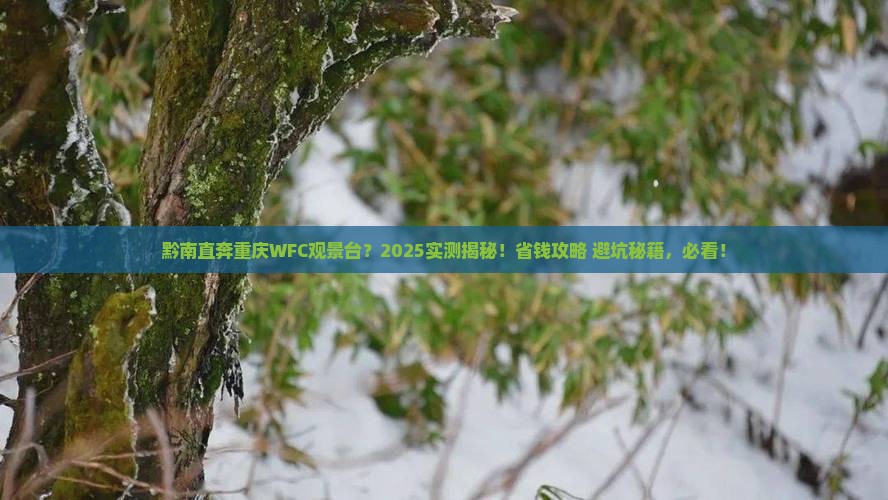 黔南去重庆wfc观景台一日