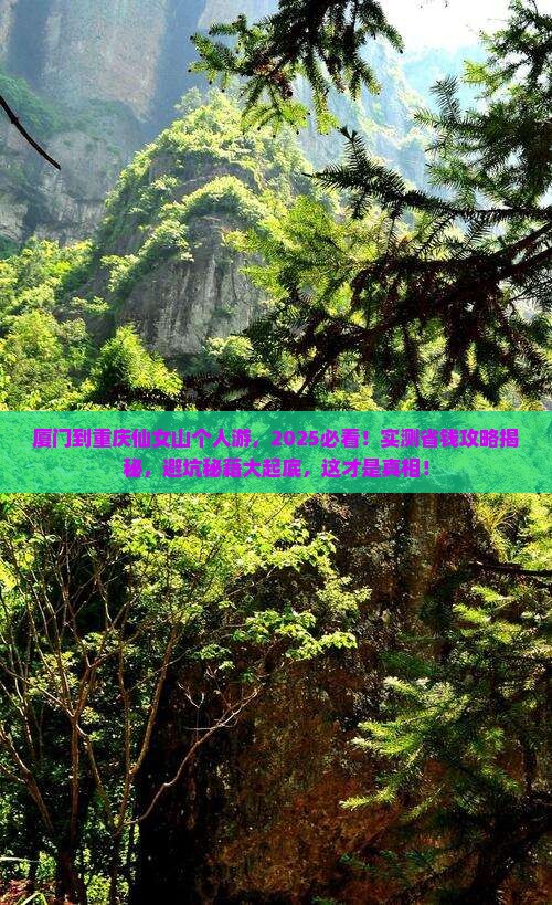 厦门到重庆仙女山个人游