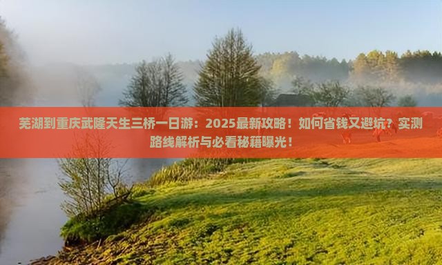 芜湖到重庆武隆天生三桥一日