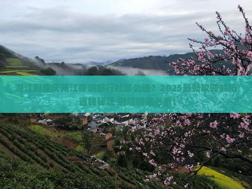 潜江到重庆两江夜游旅行社