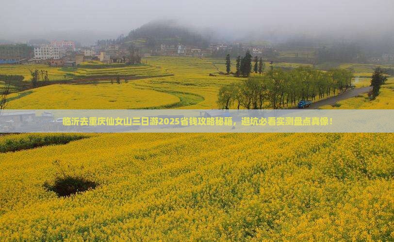 临沂去重庆仙女山三日游