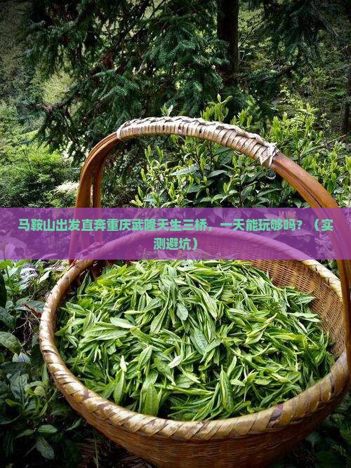 马鞍山到重庆武隆天生三桥一日