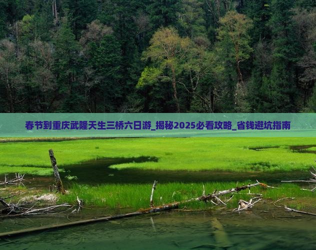春节到重庆武隆天生三桥六日游