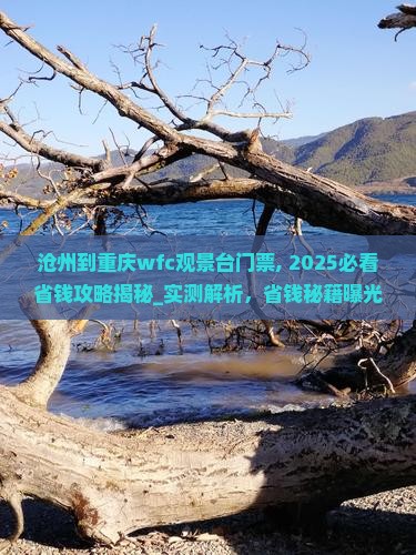 沧州到重庆wfc观景台门票