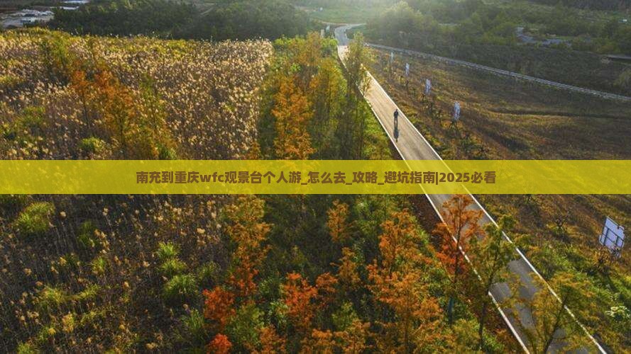南充到重庆wfc观景台个人游