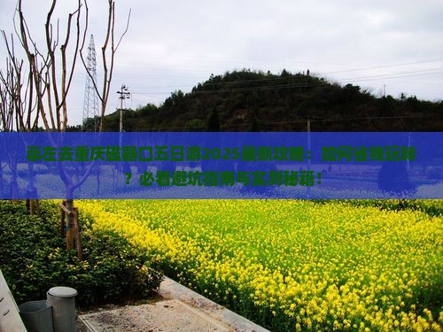 崇左去重庆磁器口五日游