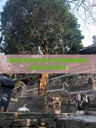 漯河到重庆五日游