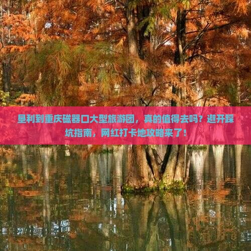 垦利到重庆磁器口大型旅游团