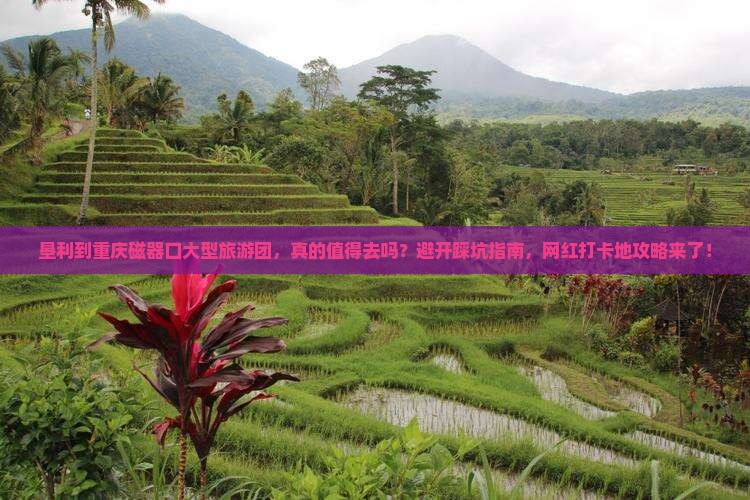 垦利到重庆磁器口大型旅游团