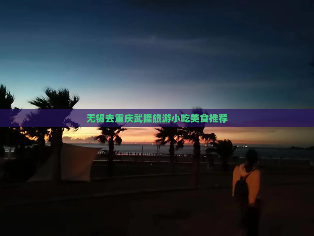 无锡去重庆武隆旅游小吃