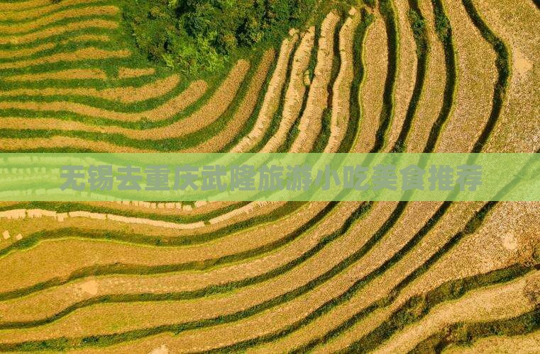 无锡去重庆武隆旅游小吃