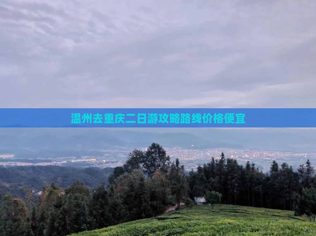 温州去重庆二日游