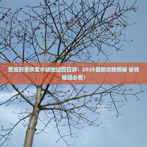 恩施到重庆龙水峡地缝四日游