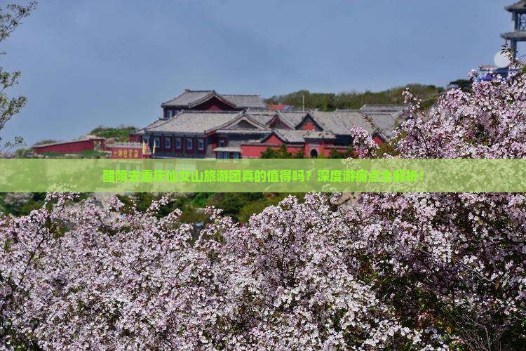 醴陵去重庆仙女山大型旅游团