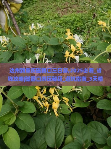 达州到重庆磁器口三日游