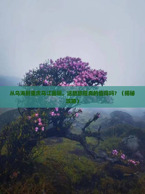乌海市到重庆乌江画廊旅游