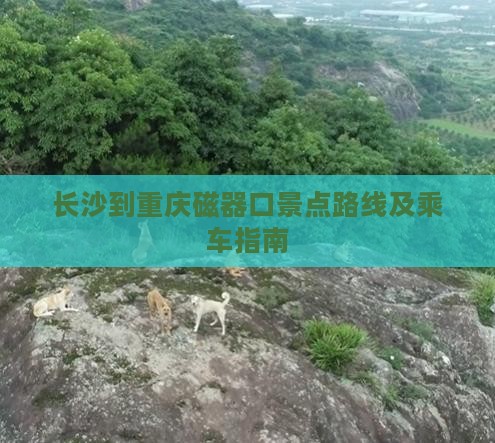 长沙到重庆磁器口景点