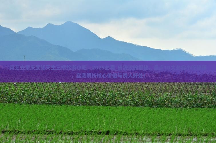 莱芜去重庆武隆天生三桥旅游小吃