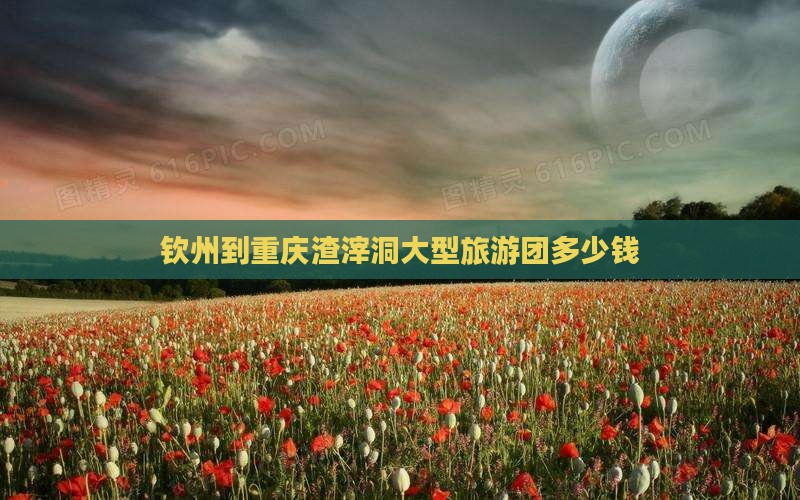 钦州到重庆渣滓洞大型旅游团